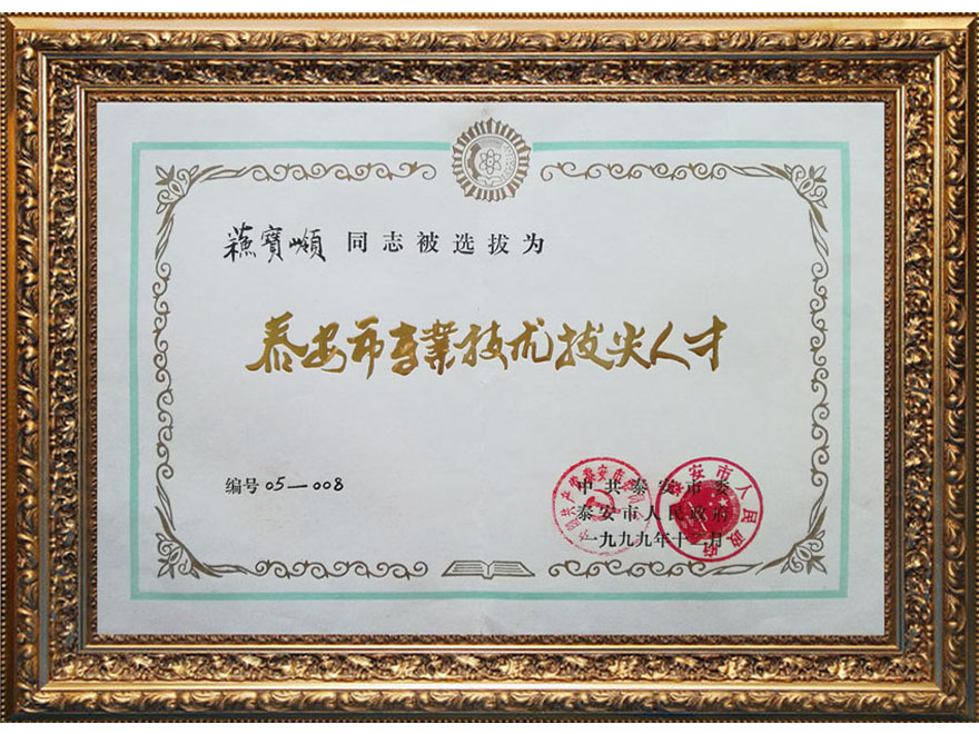 泰安市技術(shù)拔尖人才證書(shū)